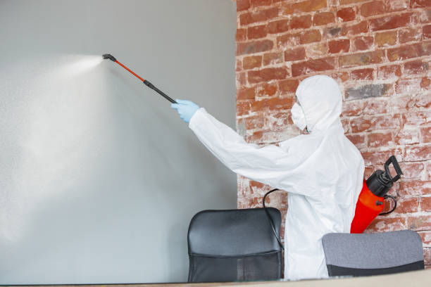 Best Biohazard Mold Removal  in Goldendale, WA